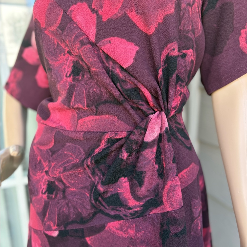 Signature Collection Rochelle Dress - Picture 4 of 7